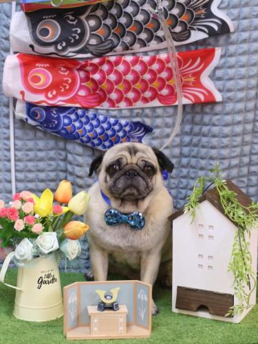 20230524くりこちゃん